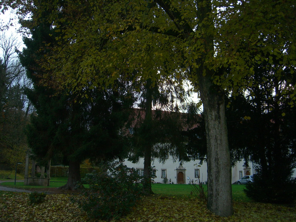 Schloss Buchenau (06).JPG